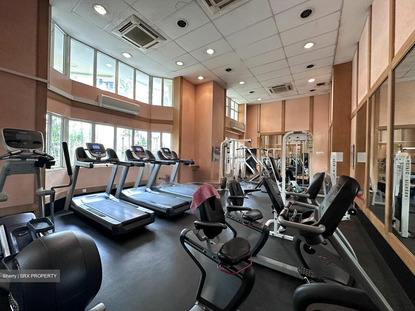 Emerald Garden (D1), Condominium #528929831